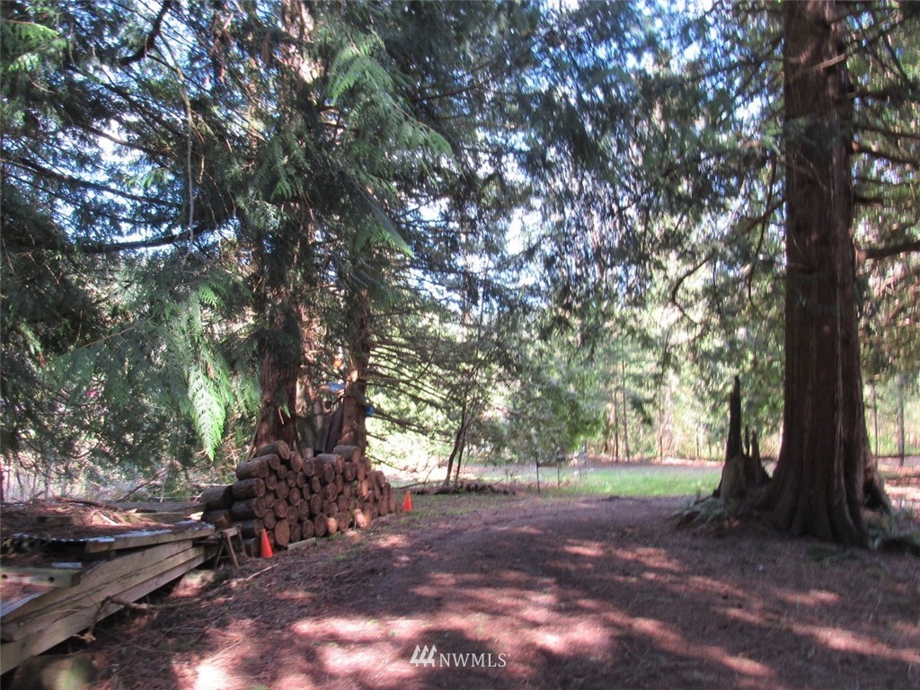 793 Old Samish Road Bellingham, WA 98229 - Photo 3 of 24 Gallery Image 3