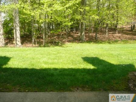 803 Maplecrest Road Edison, NJ 08820 - Photo 5 of 6 a view of backyard with green space