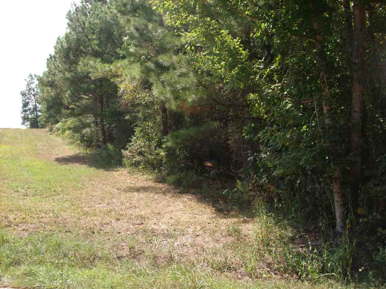 190 Co Road Decatur, TN 37322 - Photo 4 of 7