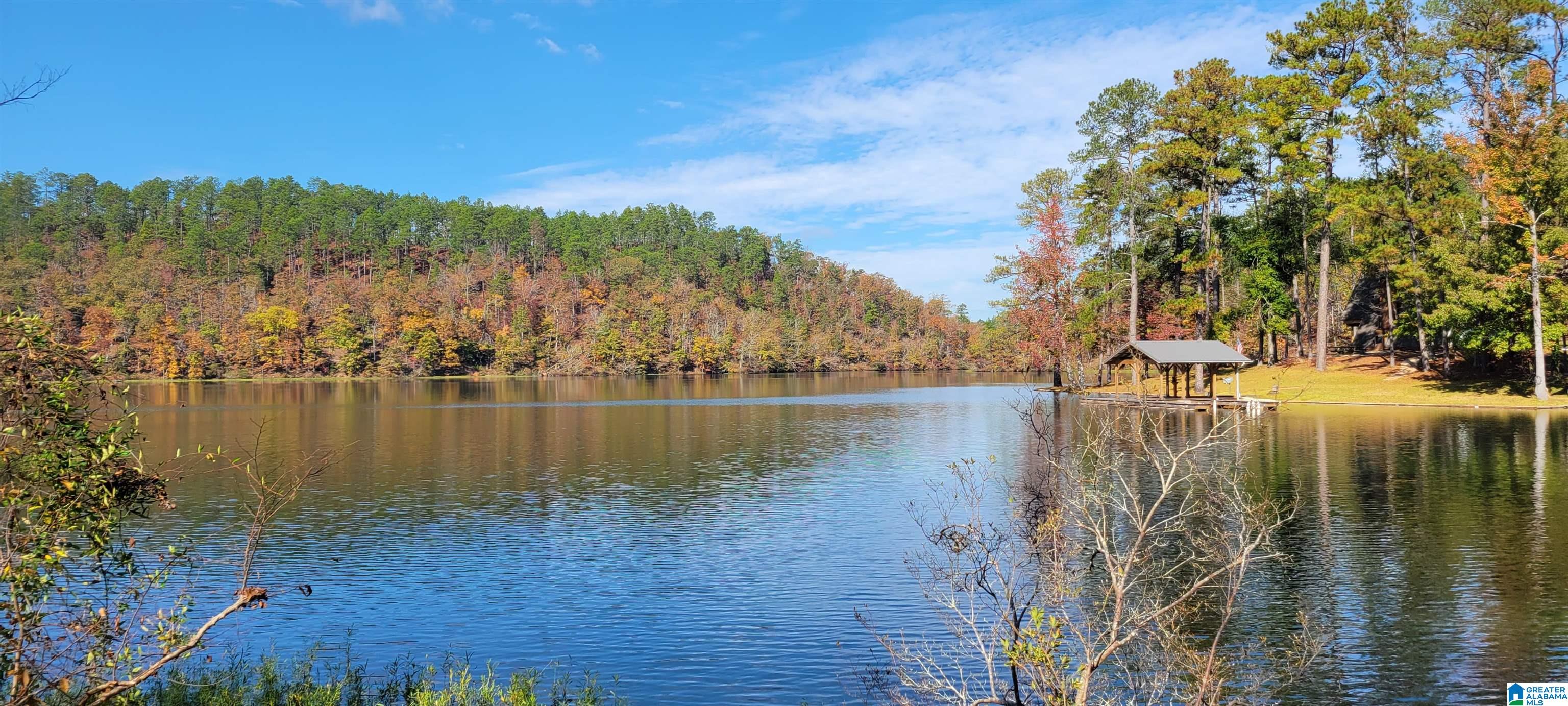 1830 Mimosa Point Road, Unit 5 Rockford, AL 35136 - Photo 18 of 25