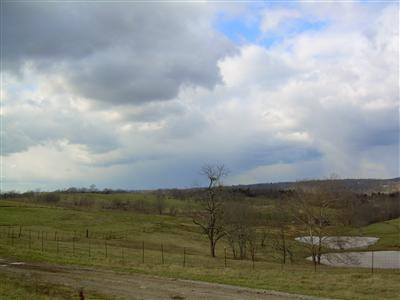 2750 High Bridge Road Wilmore, KY 40390 - Photo 5 of 7 Photo 5