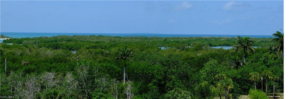 13915 Old Coast Road, Unit 602 Naples, FL 34110 - Photo 2 of 25 a view of a lush green space