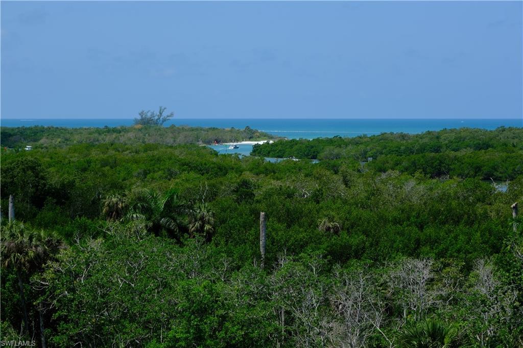 13915 Old Coast Road, Unit 602 Naples, FL 34110 - Photo 25 of 25 a view of a lush green space