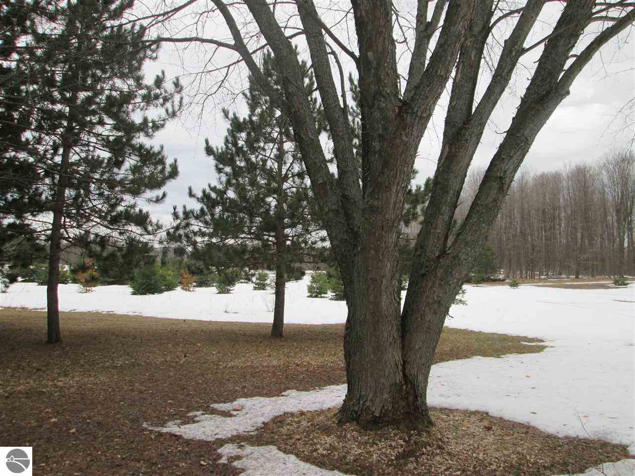 9587 Innis Road Northeast Alden, MI 49612 - Photo 56 of 67 1801536-55.JPG