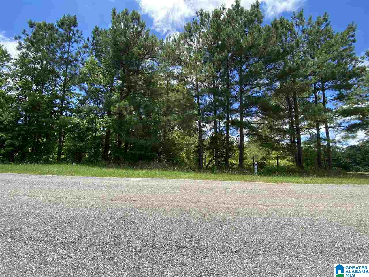 25 County Road, Unit 7 59 Woodland, AL 36280 - Photo 4 of 6