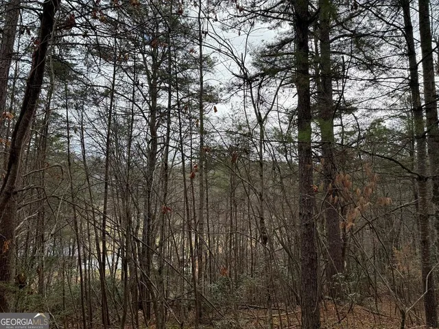 $28,500 | Lot 27 Ideal Acres, Otto, NC 28763