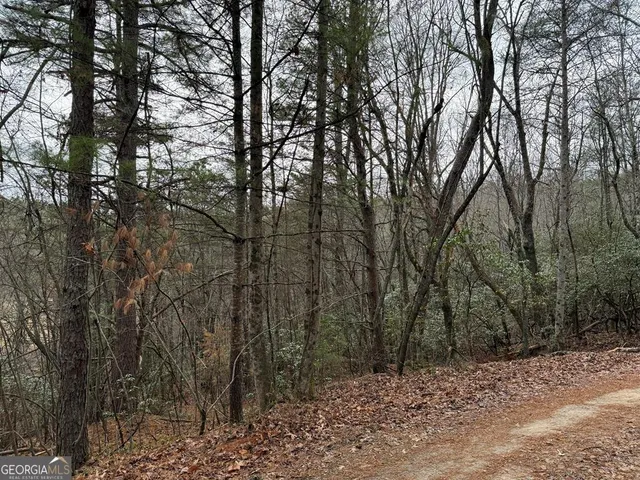 $28,500 | Lot 27 Ideal Acres, Otto, NC 28763
