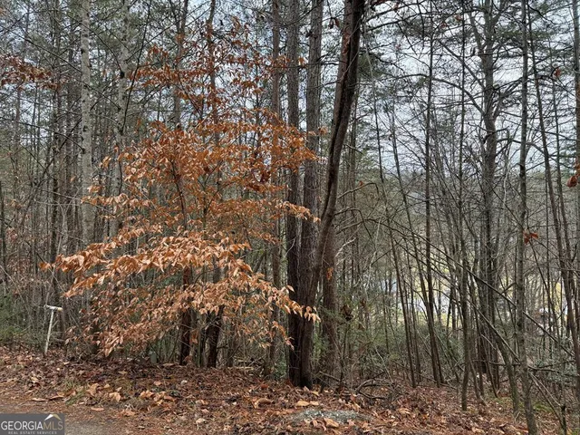 $28,500 | Lot 27 Ideal Acres, Otto, NC 28763