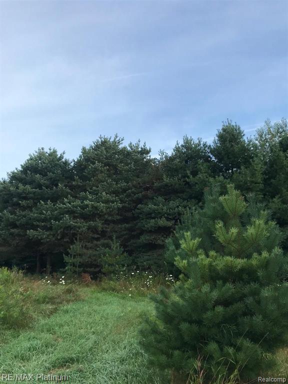 2 Hacker Brighton, MI 48114 - Photo 11 of 16