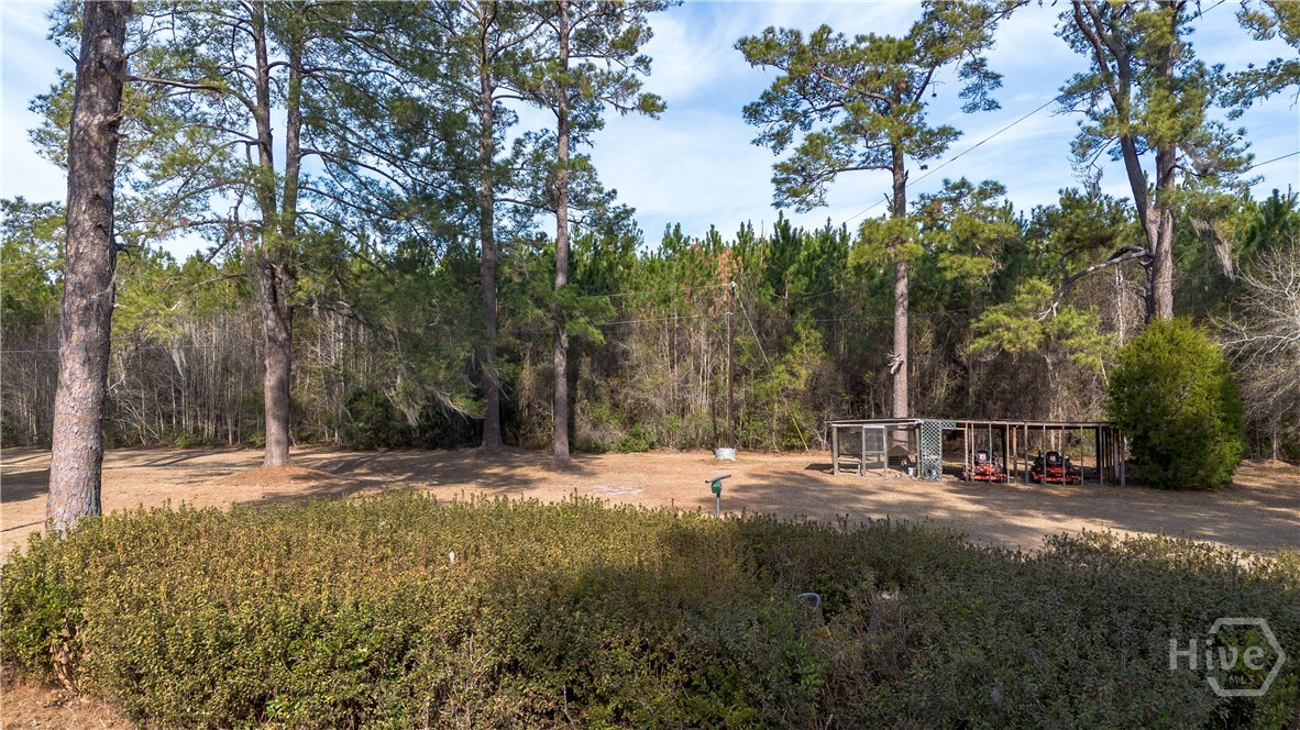 2429 Highway 119 Springfield, GA 31329 - Photo 6 of 34