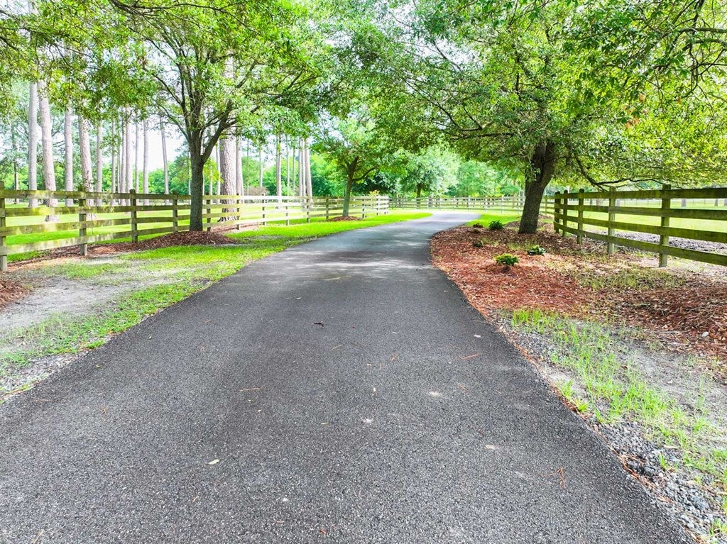 4224 Bee Line Road Coolidge, GA 31738 - Photo 16 of 91 Gallery Image 16
