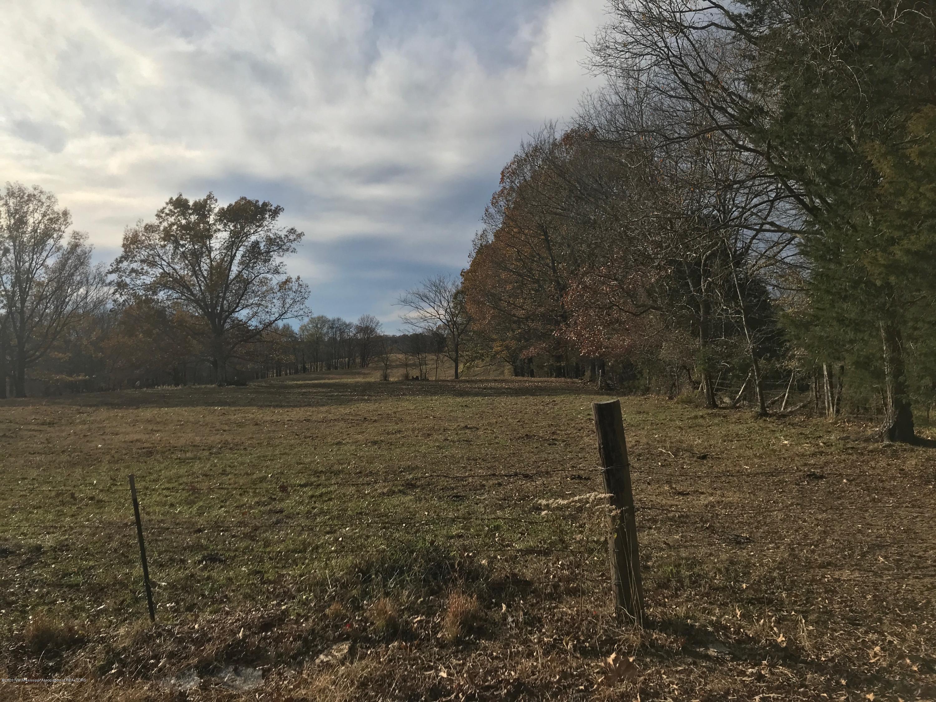 0 Gitter Road Hernando, MS 38632 - Photo 1 of 3 Pic 2