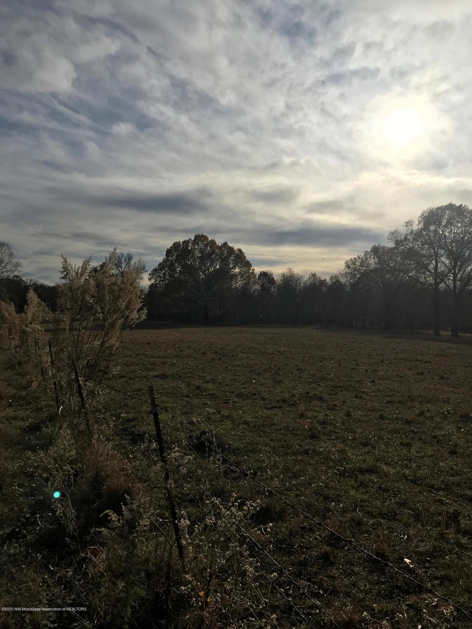 0 Gitter Road Hernando, MS 38632 - Photo 3 of 3 Pic 1