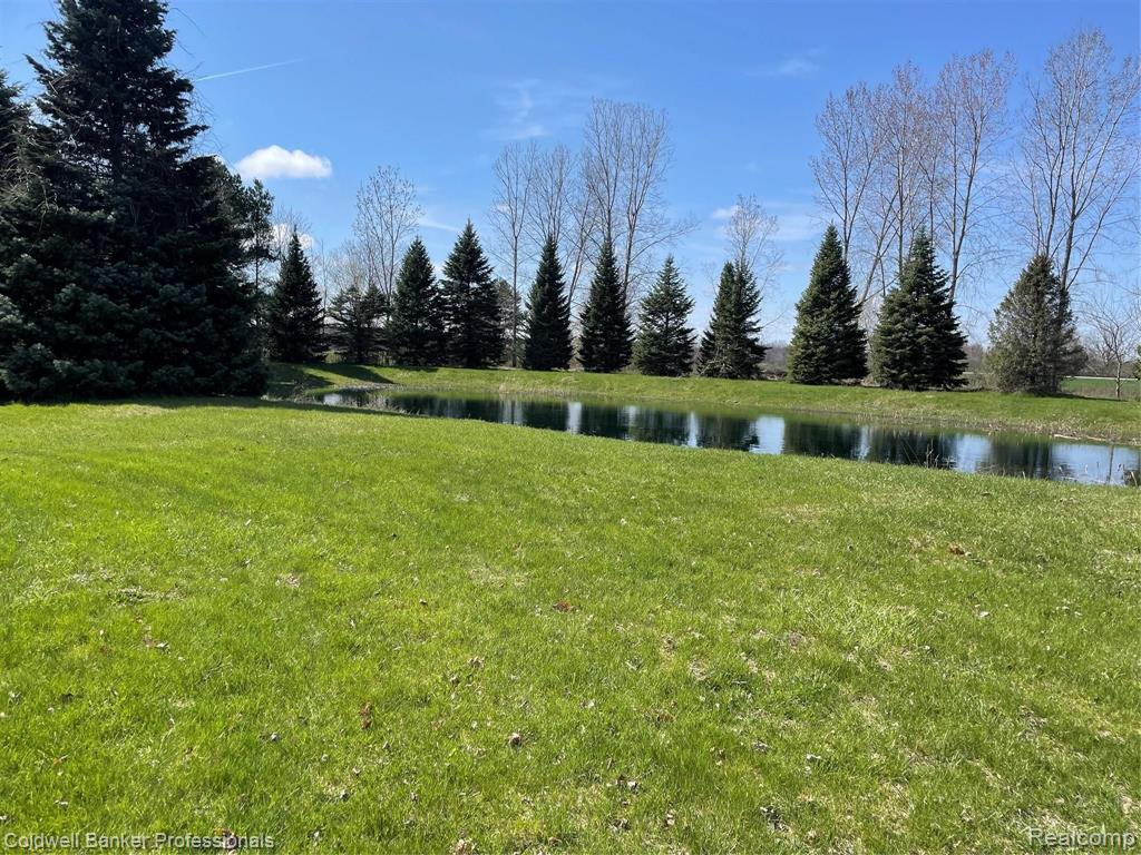 6397 Cribbins Road Avoca, MI 48006 - Photo 31 of 37