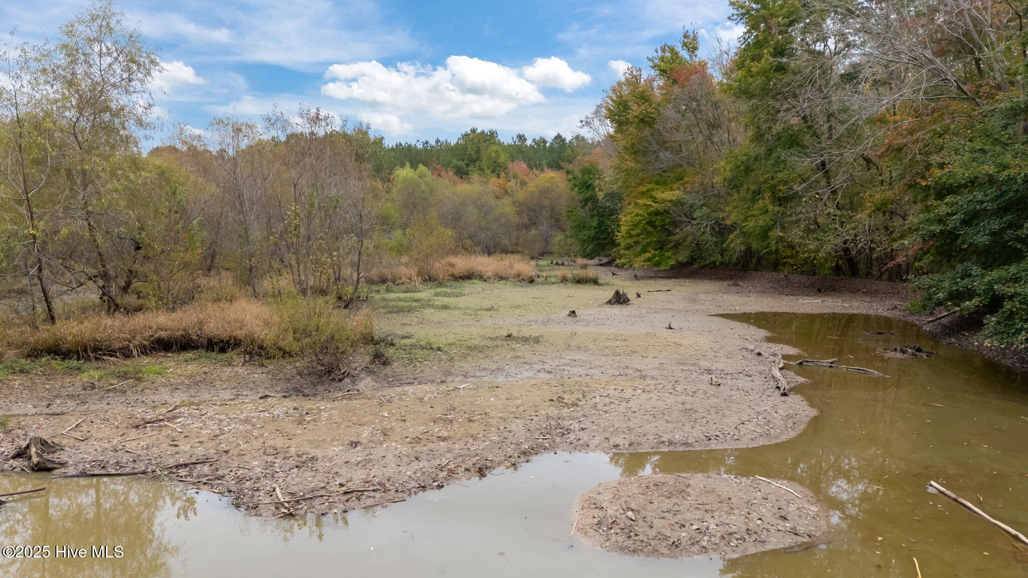 1915 Reams Road Spring Hope, NC 27882 - Photo 11 of 17 16-web-or-mls-DJI_20251027132329_0049_D