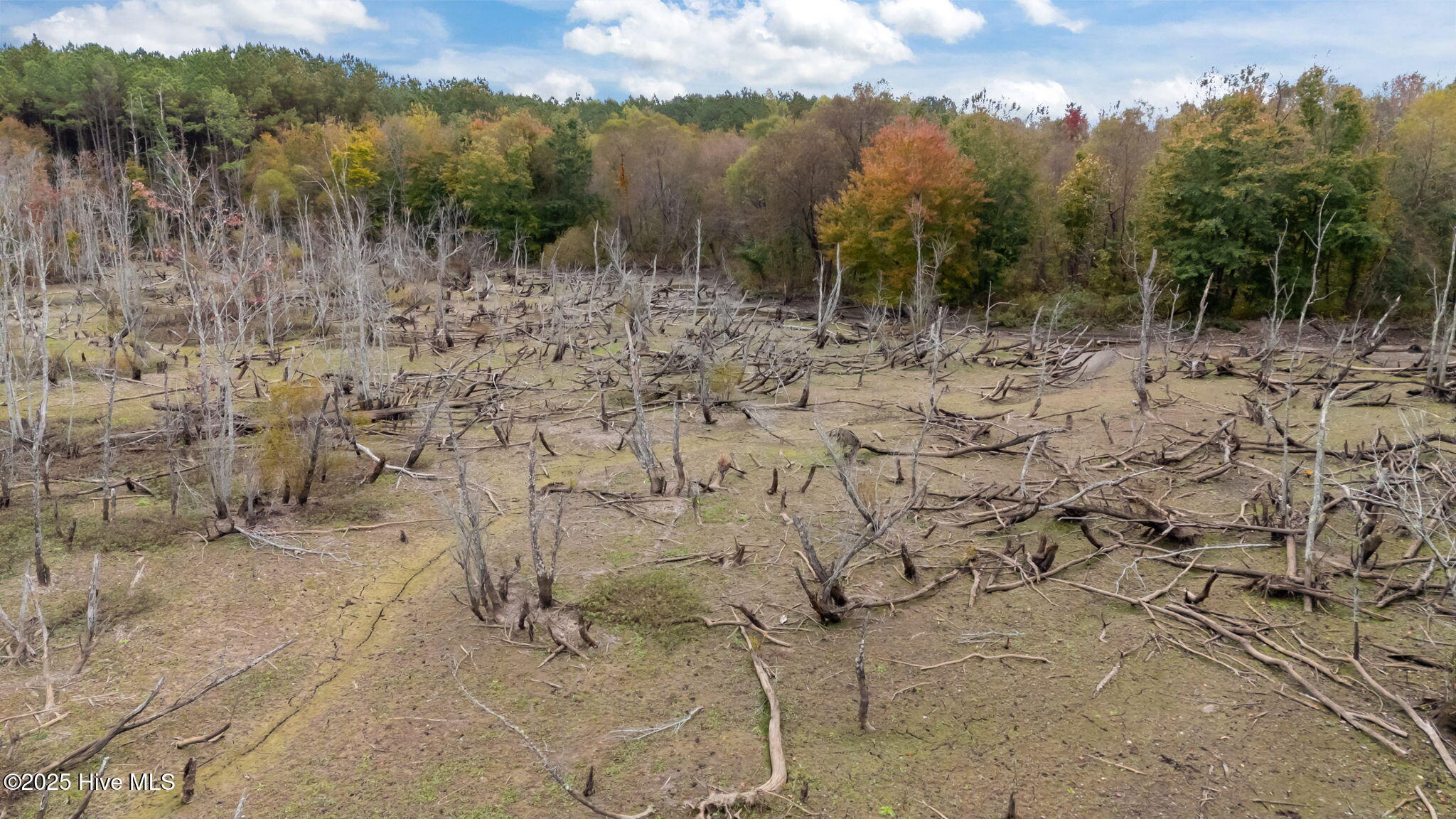 1915 Reams Road Spring Hope, NC 27882 - Photo 12 of 17 17-web-or-mls-DJI_20251027132407_0050_D