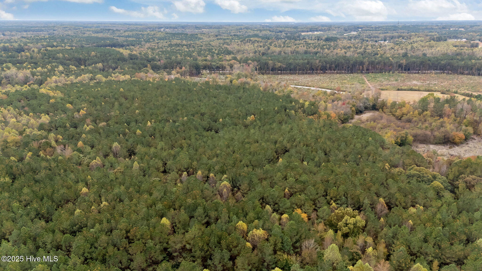 1915 Reams Road Spring Hope, NC 27882 - Photo 13 of 17 11-web-or-mls-DJI_20251027131703_0044_D