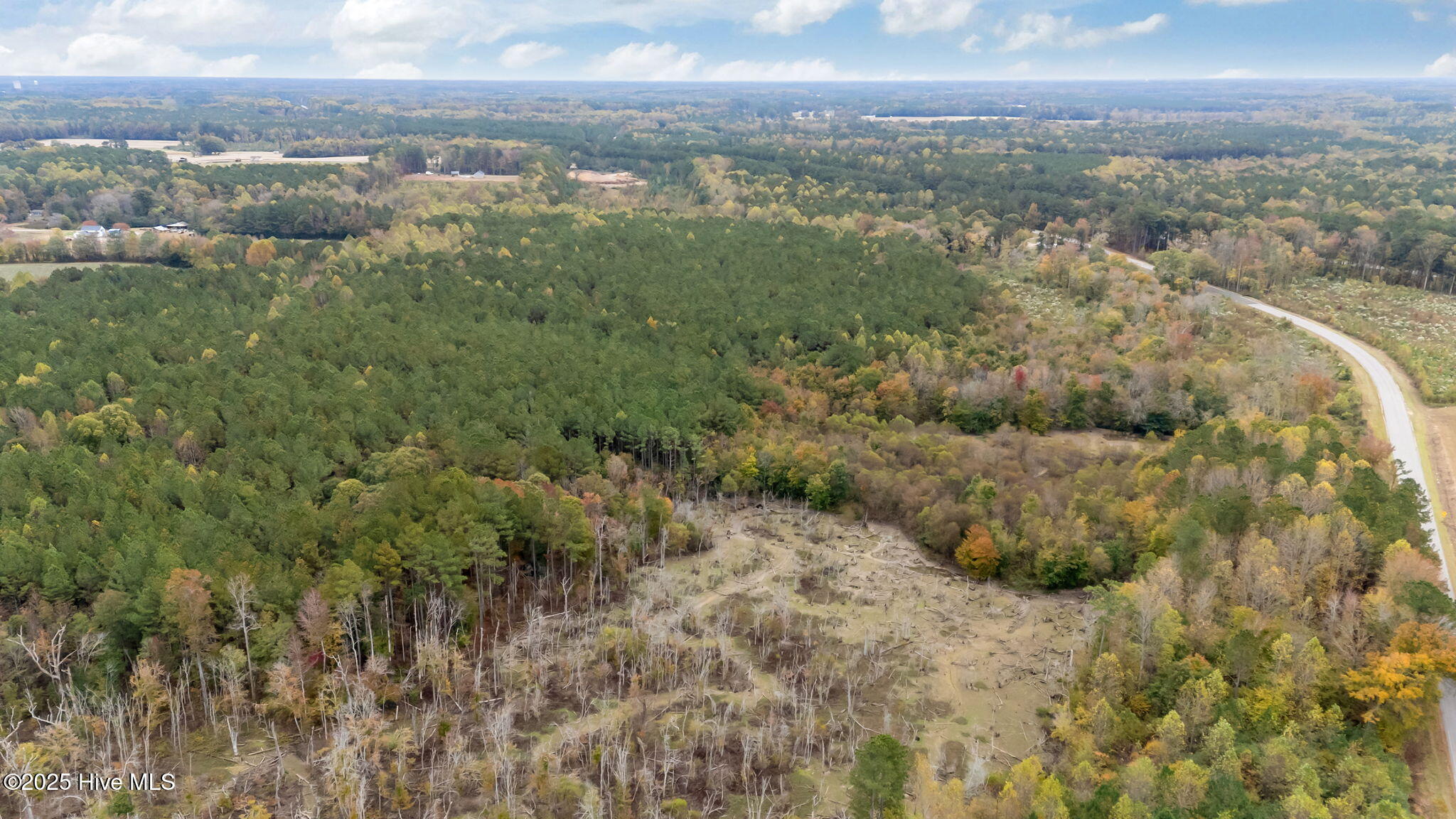 1915 Reams Road Spring Hope, NC 27882 - Photo 14 of 17 12-web-or-mls-DJI_20251027131735_0045_D