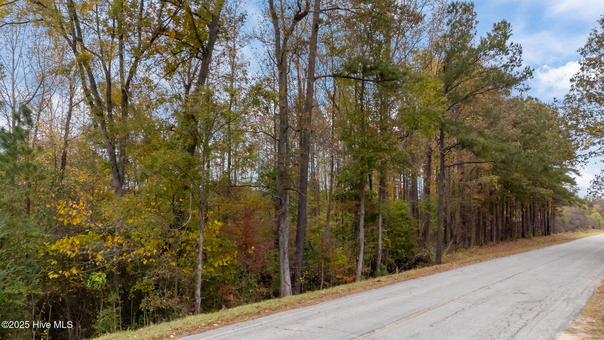 1915 Reams Road Spring Hope, NC 27882 - Photo 15 of 17 13-web-or-mls-DJI_20251027131912_0046_D