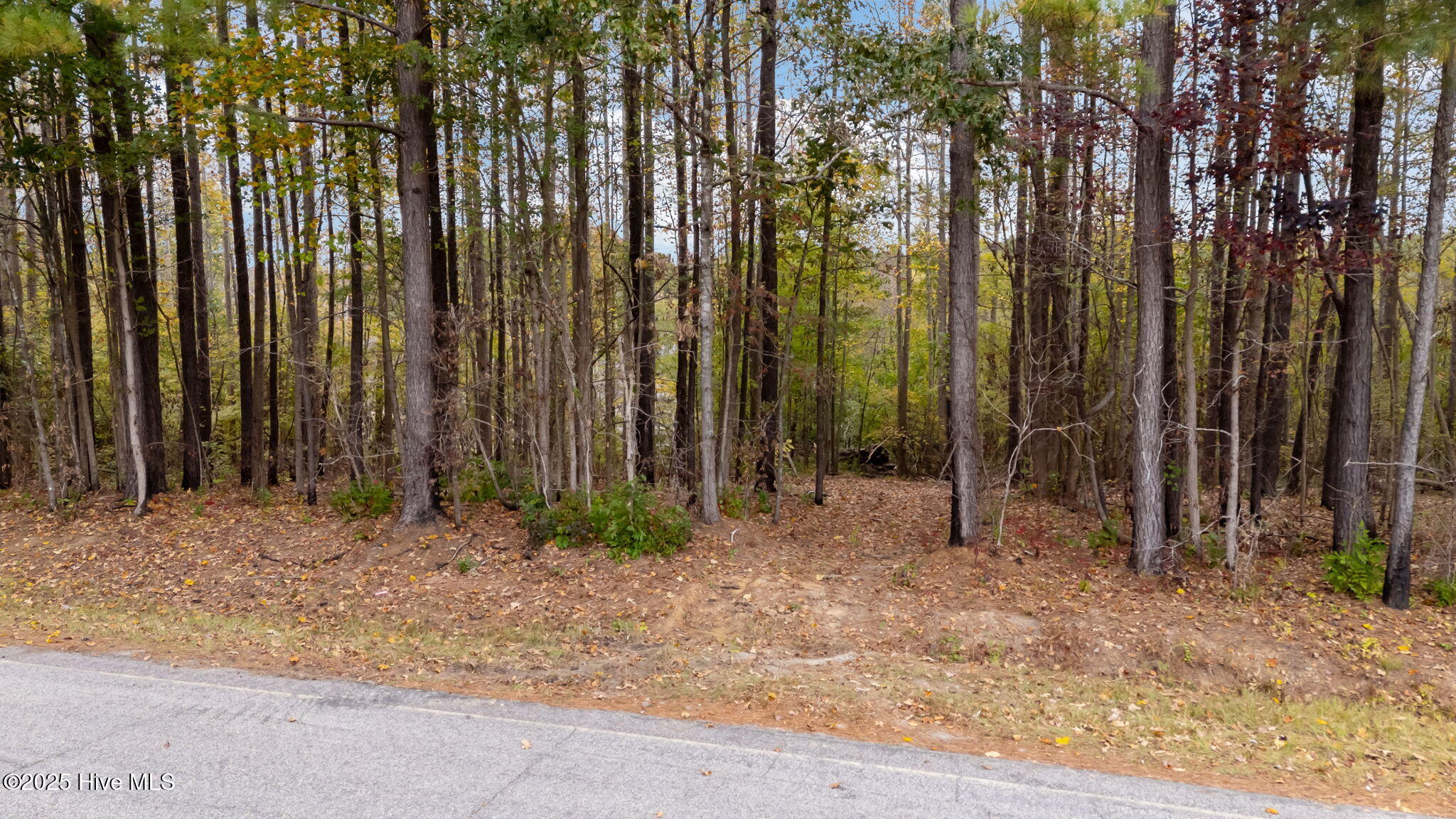1915 Reams Road Spring Hope, NC 27882 - Photo 16 of 17 14-web-or-mls-DJI_20251027131939_0047_D