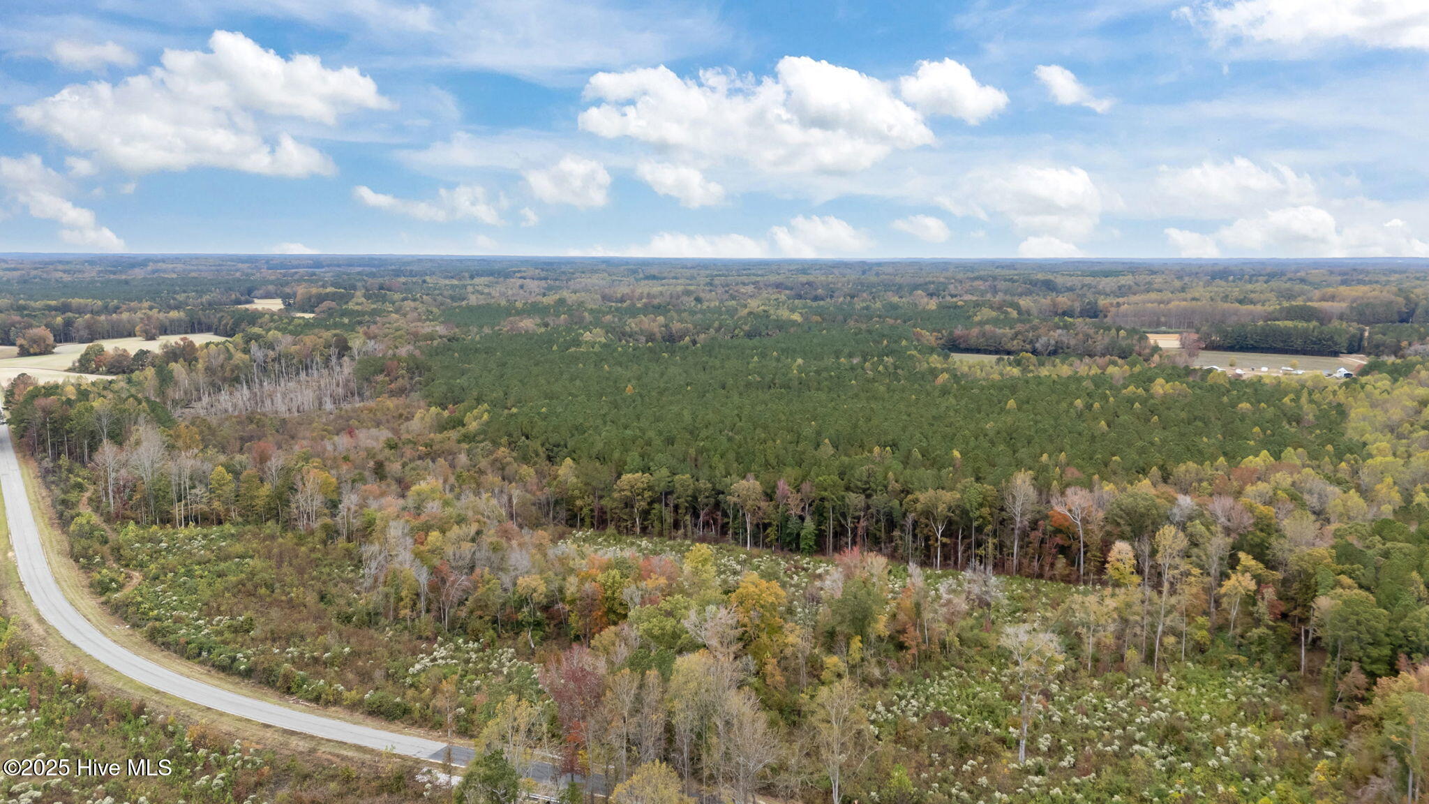 1915 Reams Road Spring Hope, NC 27882 - Photo 17 of 17 15-web-or-mls-DJI_20251027132150_0048_D