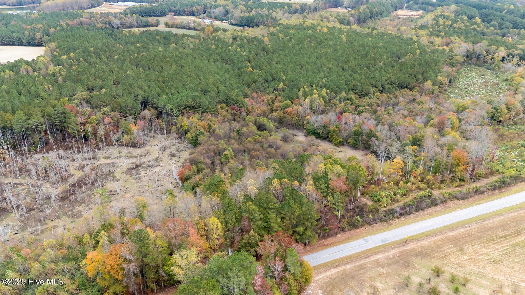 1915 Reams Road Spring Hope, NC 27882 - Photo 4 of 17 4-web-or-mls-DJI_20251027131122_0037_D