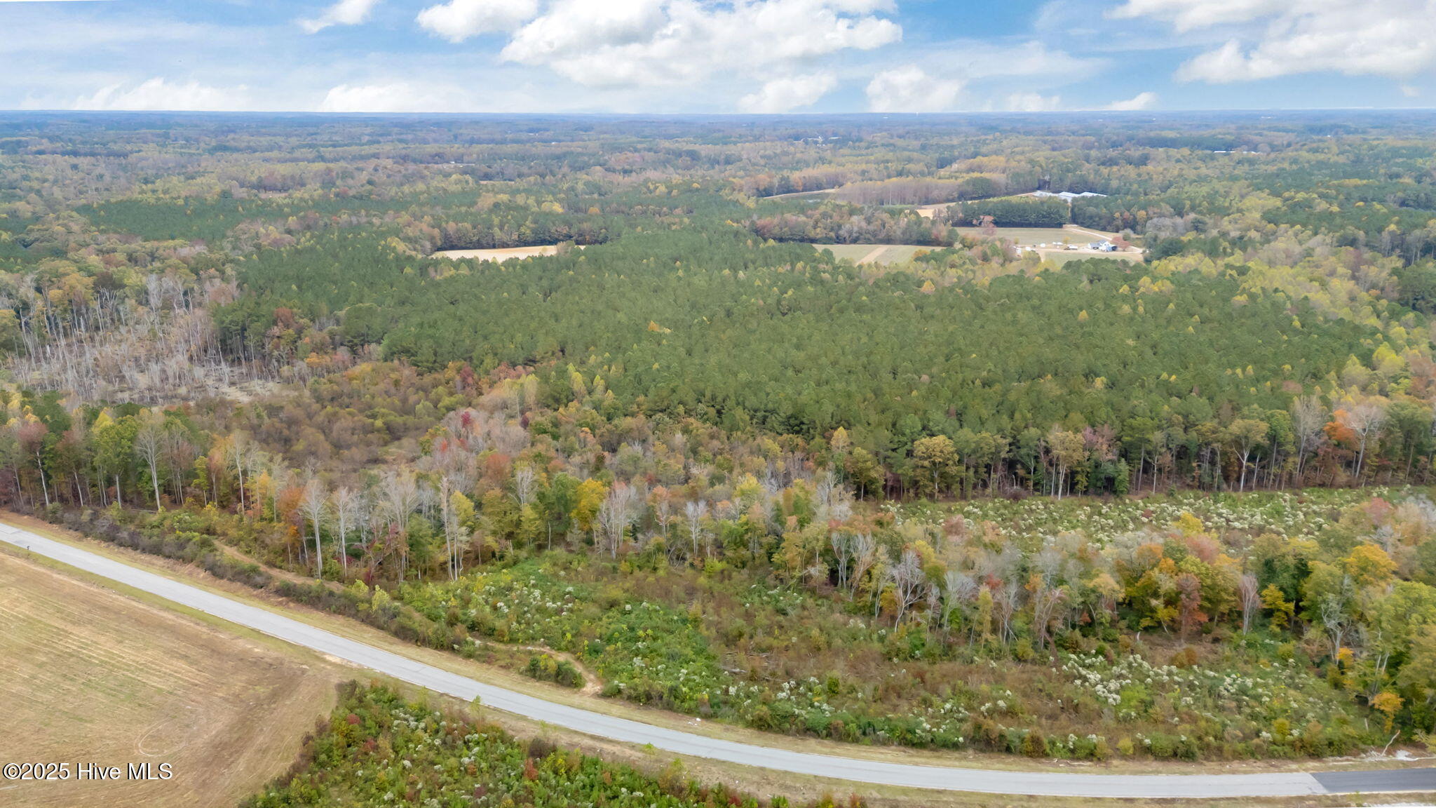 1915 Reams Road Spring Hope, NC 27882 - Photo 5 of 17 5-web-or-mls-DJI_20251027131201_0038_D