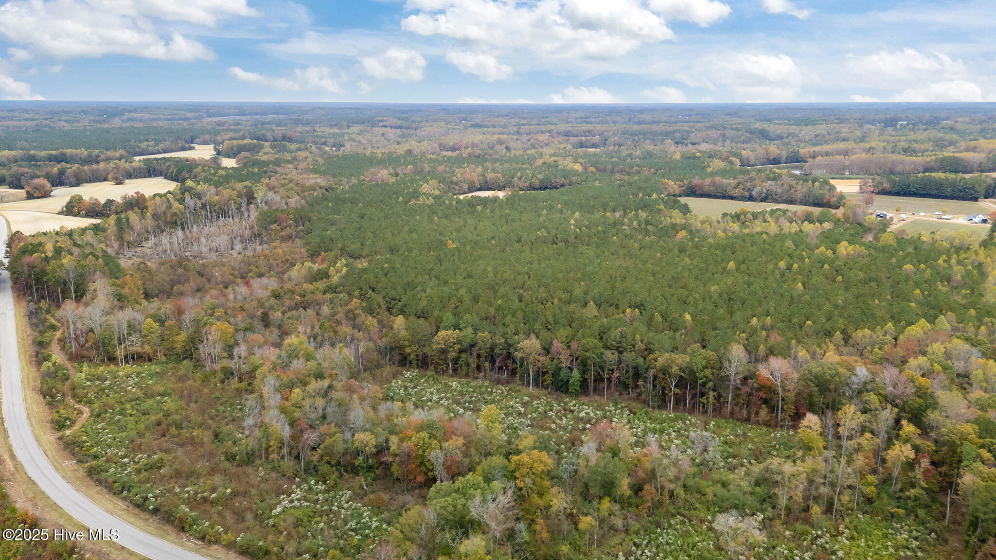 1915 Reams Road Spring Hope, NC 27882 - Photo 6 of 17 6-web-or-mls-DJI_20251027131227_0039_D