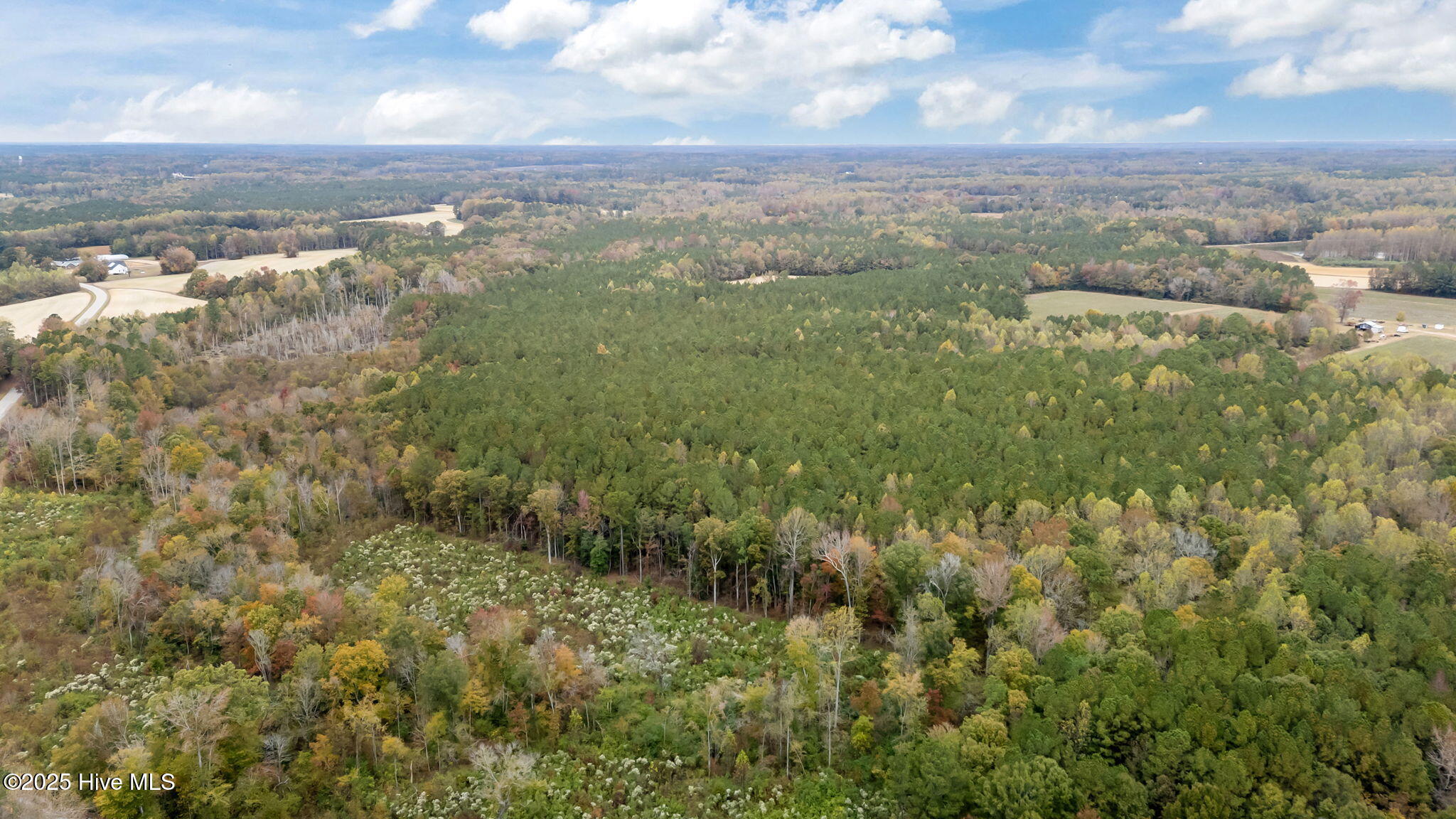 1915 Reams Road Spring Hope, NC 27882 - Photo 7 of 17 7-web-or-mls-DJI_20251027131241_0040_D