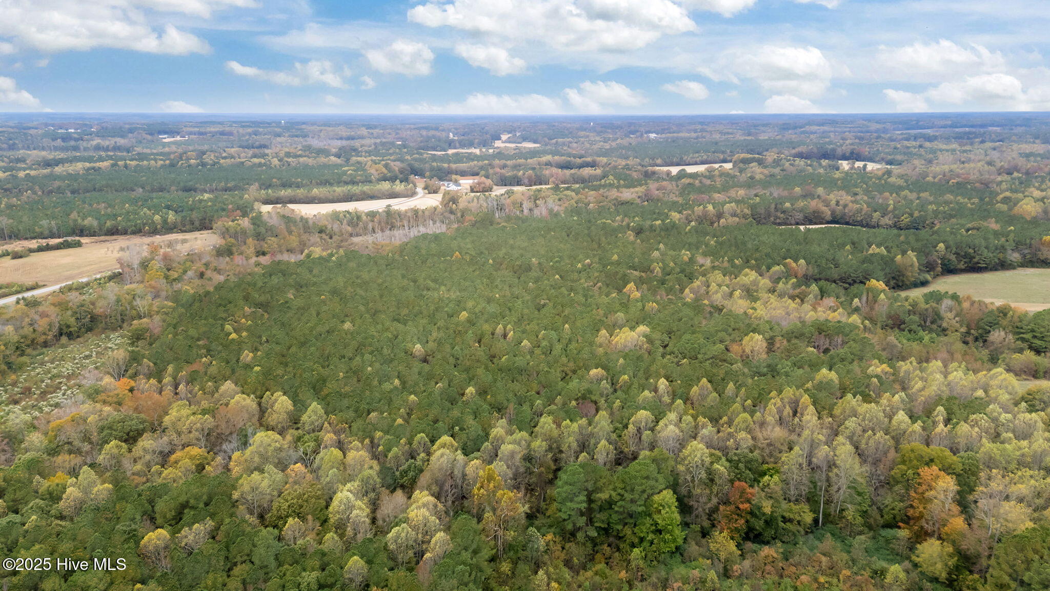 1915 Reams Road Spring Hope, NC 27882 - Photo 9 of 17 9-web-or-mls-DJI_20251027131329_0042_D