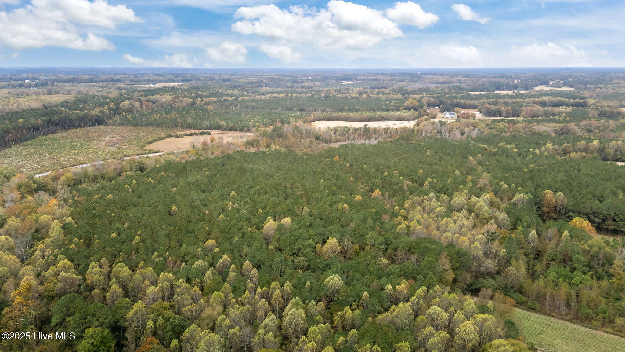 1915 Reams Road Spring Hope, NC 27882 - Photo 10 of 17 10-web-or-mls-DJI_20251027131347_0043_D
