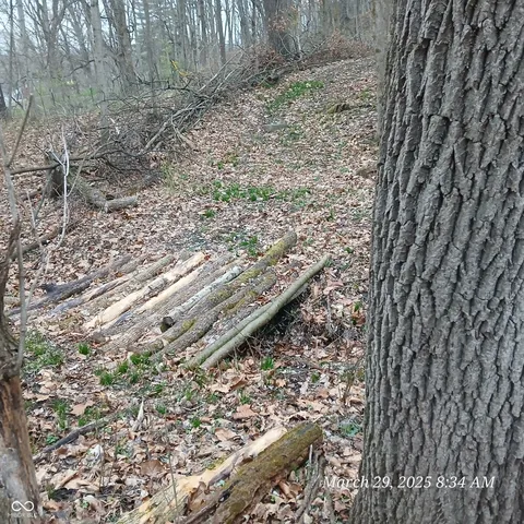 $85,000 | 0 Vacant Grd S Main Street, Newport, IN 47966