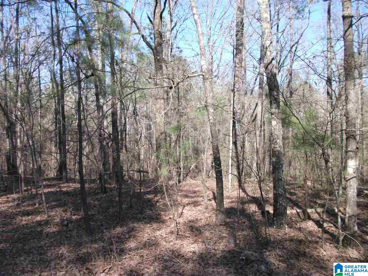 Tbd Old Shocco Road, Unit 4/3 Talladega, AL 35160 - Photo 1 of 2