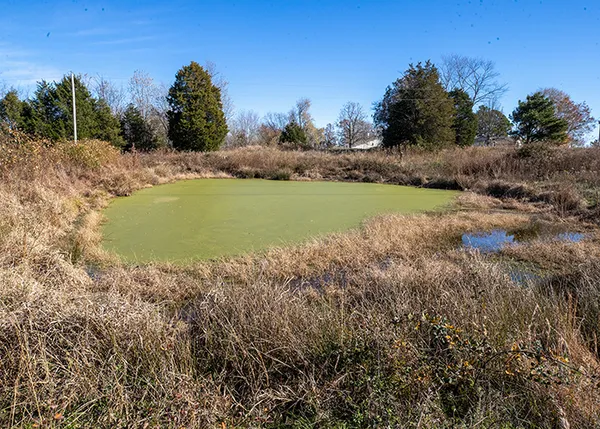 a view of beach and ocean