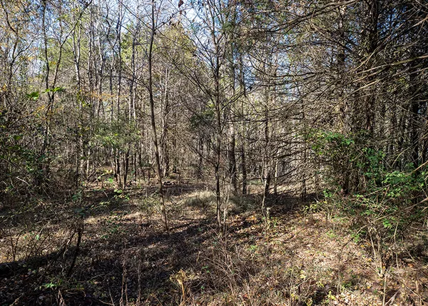 a view of wooden house with a yard