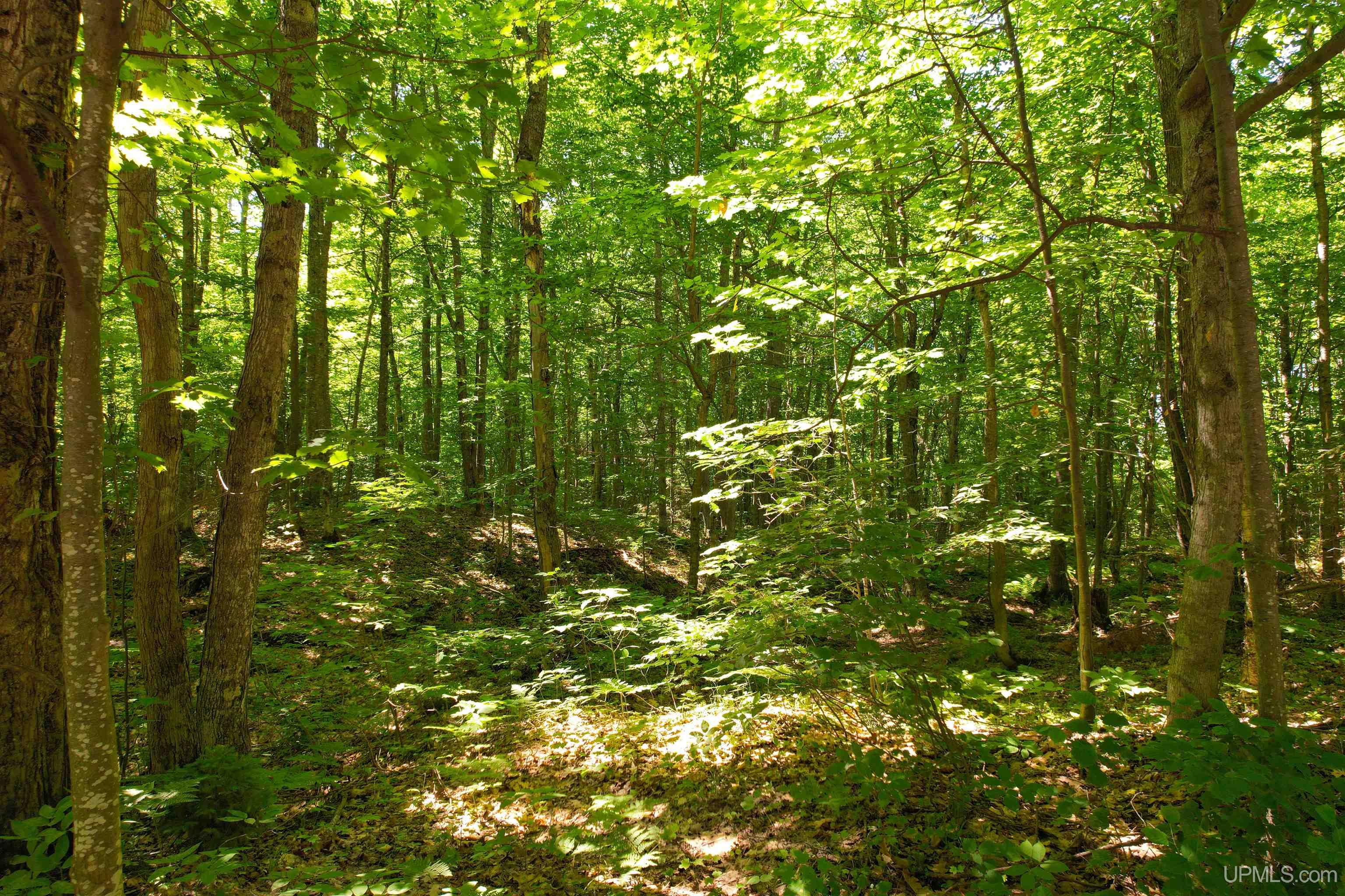 Tbd Superior Shores Road Atlantic Mine, MI 49905 - Photo 26 of 27