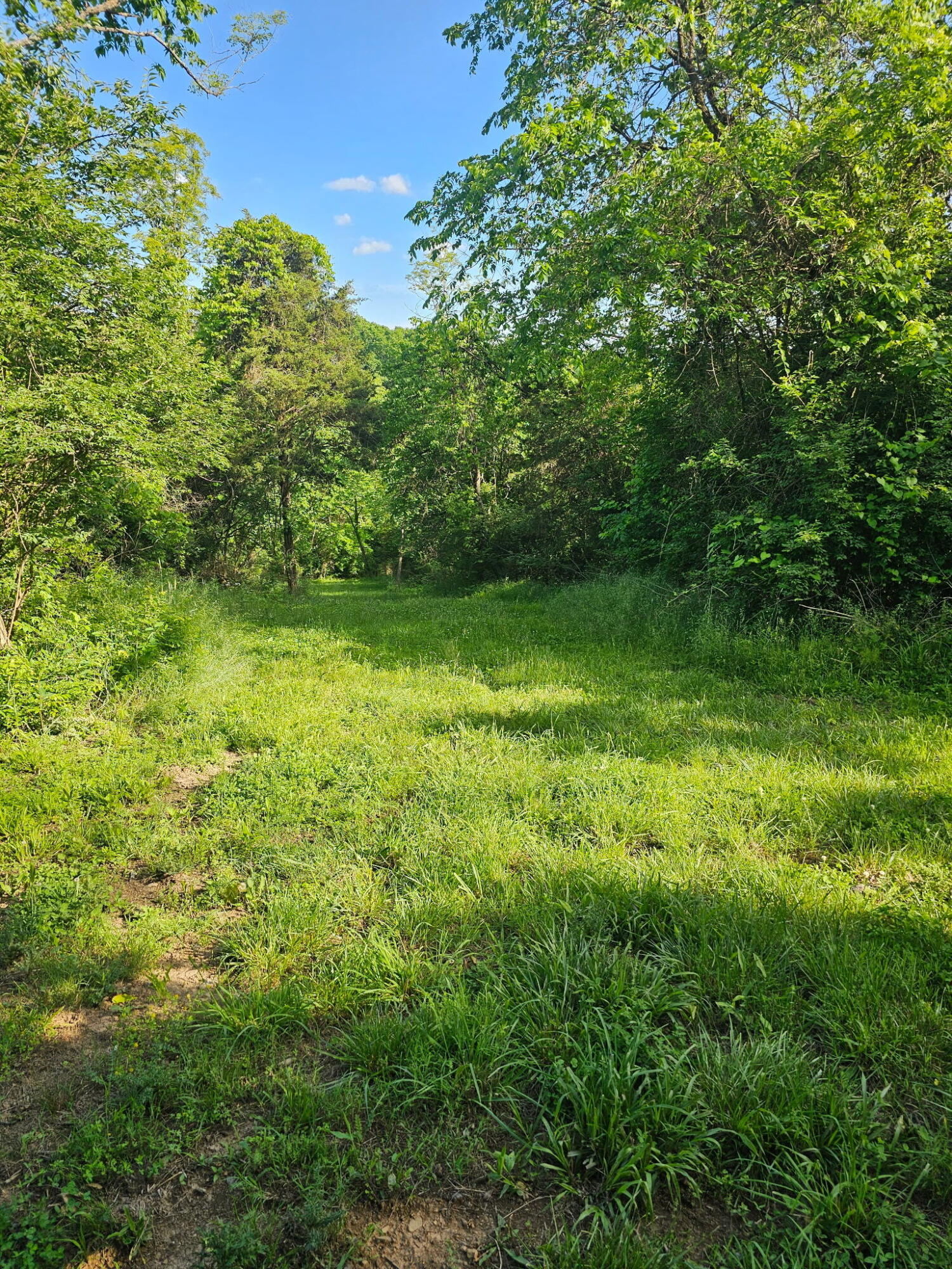 1 A Saltwell Road Carlisle, KY 40311 - Photo 9 of 26 7443381992335827305