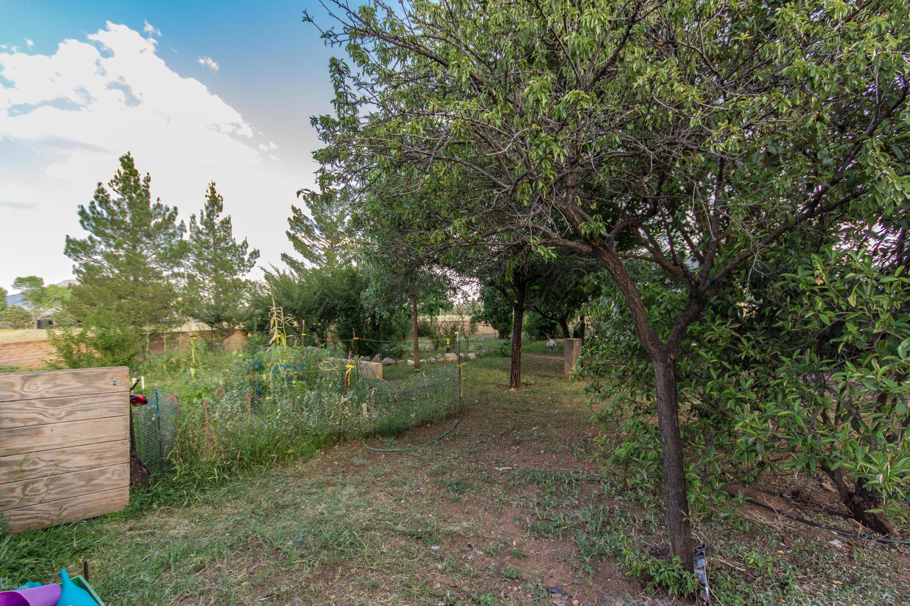 62 Homestead Lane Elgin, AZ 85611 - Photo 8 of 47 Gallery Image 8