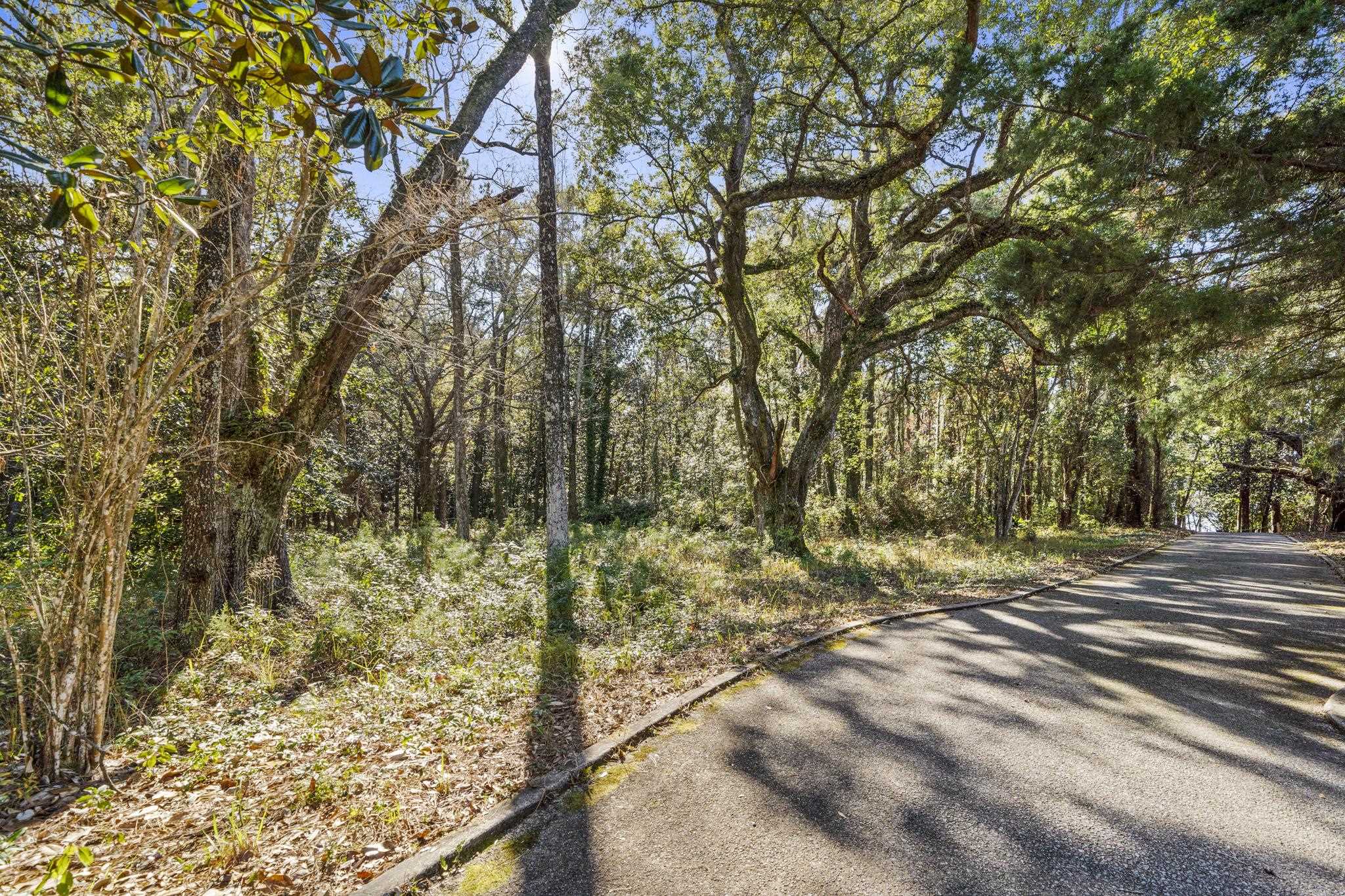 0 Main Street Fairhope, AL 36532 - Photo 7 of 27