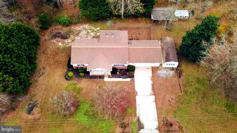 a view of a garden with flowers