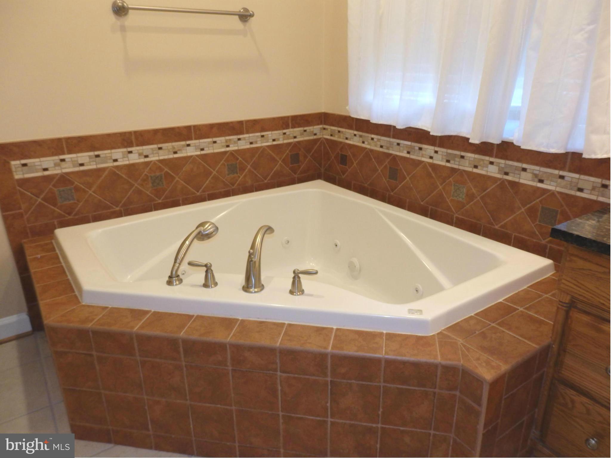 10000 Kelly Road Walkersville, MD 21793 - Photo 14 of 30 Beautiful tile work surrounds jetted tub