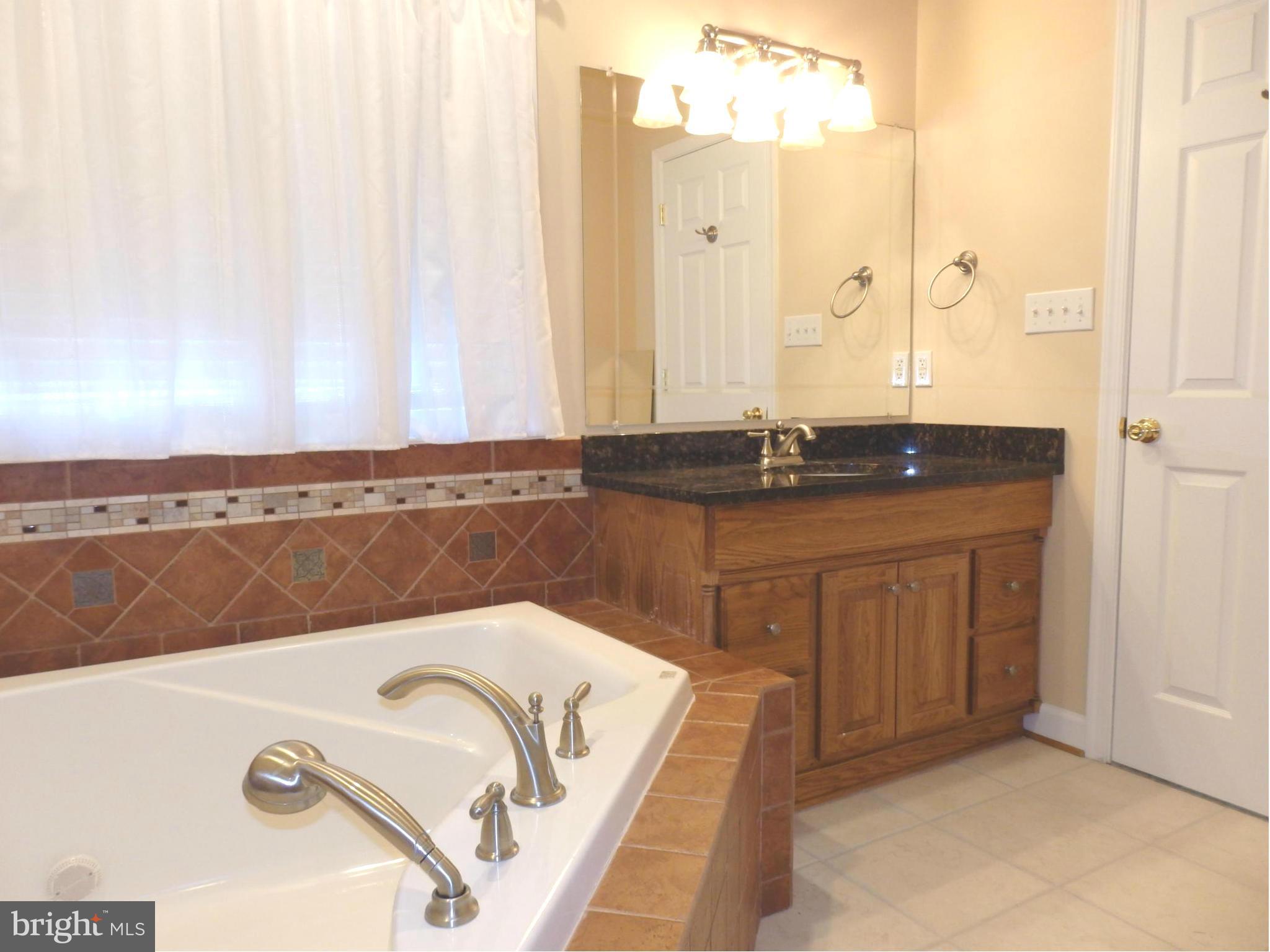 10000 Kelly Road Walkersville, MD 21793 - Photo 15 of 30 Master bath