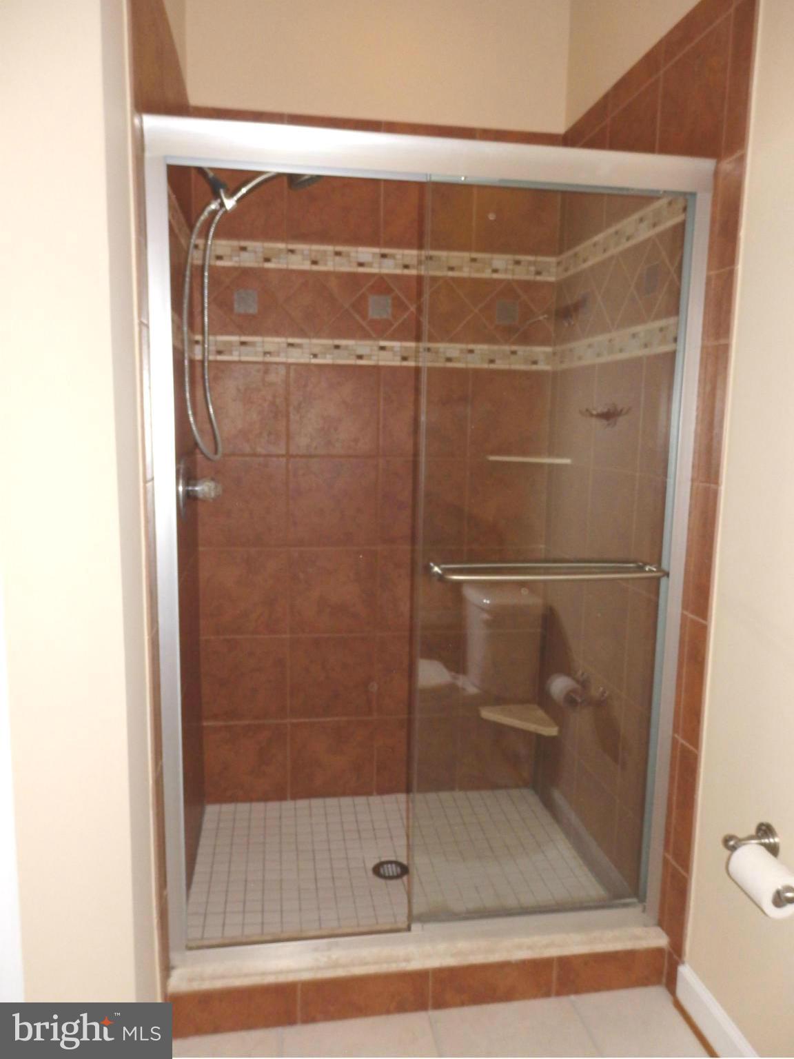 10000 Kelly Road Walkersville, MD 21793 - Photo 16 of 30 Tile work on glass doored shower