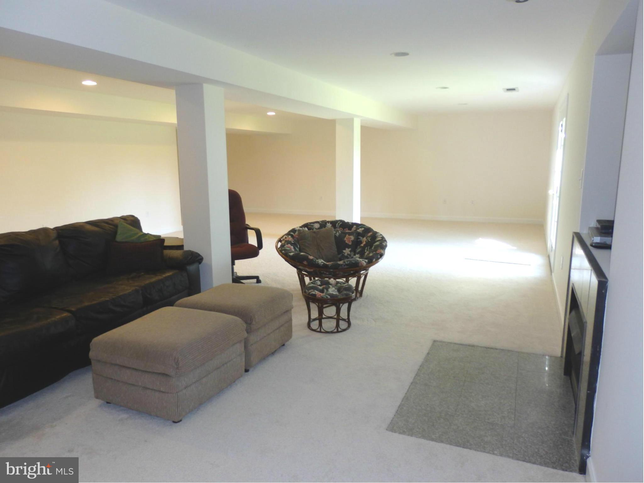 10000 Kelly Road Walkersville, MD 21793 - Photo 20 of 30 Family Room in walkout lower level