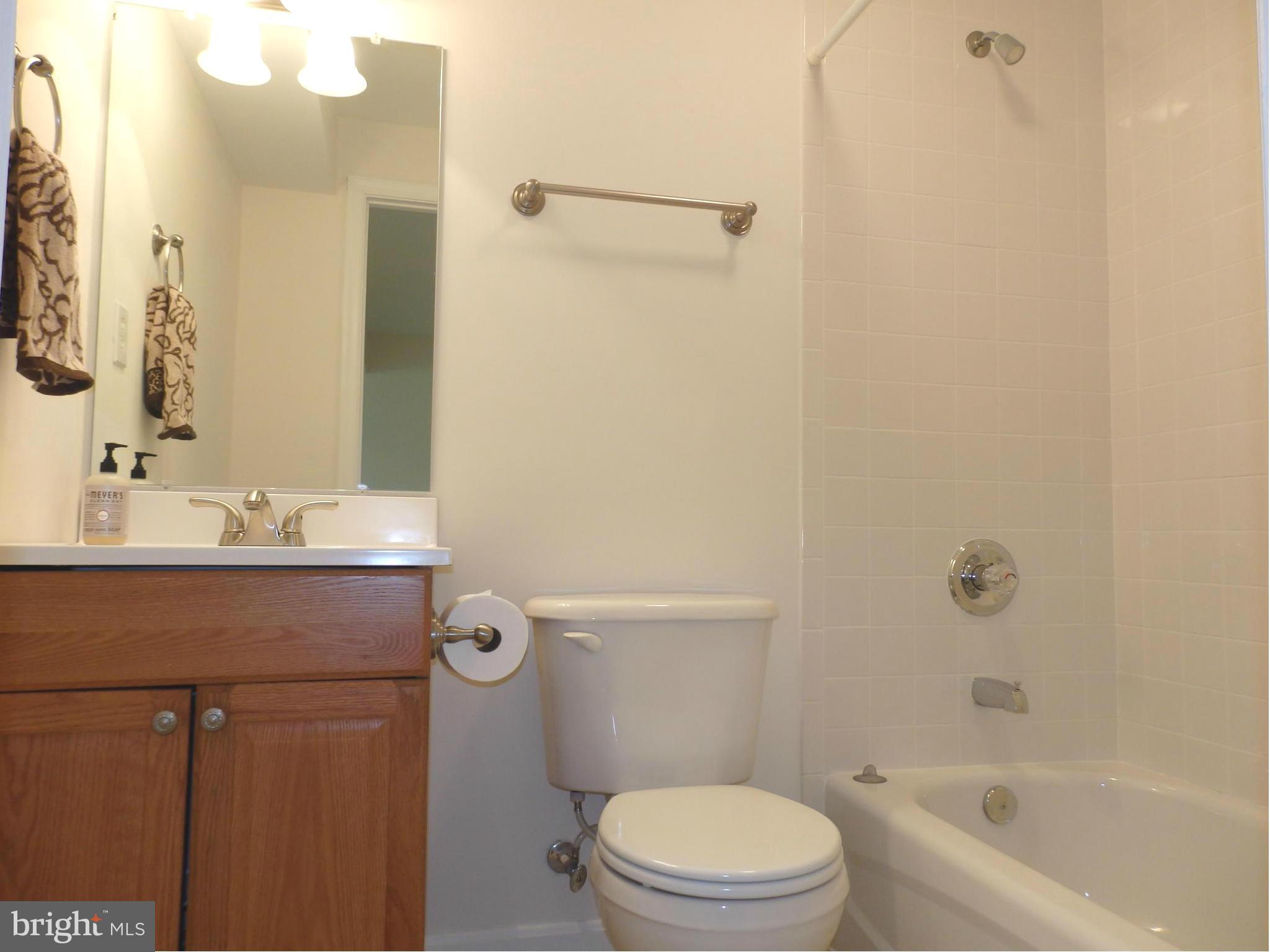 10000 Kelly Road Walkersville, MD 21793 - Photo 25 of 30 Full lower level bath