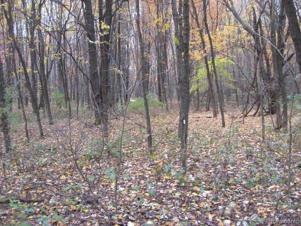 0 Lannen Road Howell, MI 48855 - Photo 10 of 17