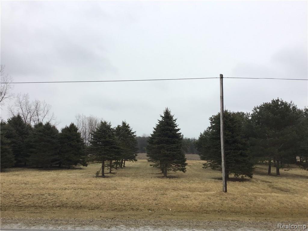7475 Maple Valley Road Brown City, MI 48416 - Photo 2 of 27 IMG_0915.jpg