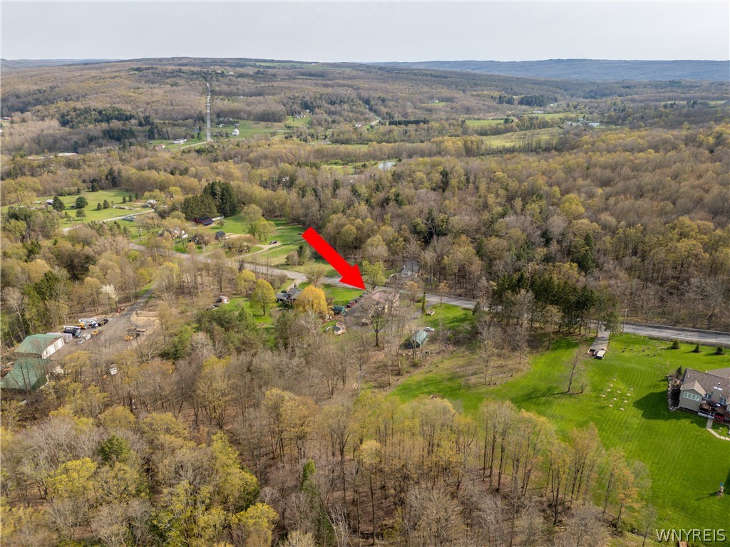 8666 Lower East Hill Road Colden, NY 14033 - Photo 43 of 50