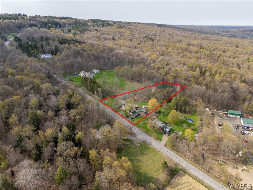 8666 Lower East Hill Road Colden, NY 14033 - Photo 44 of 50