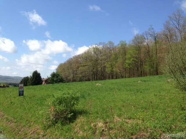 0 Hardscrabble Road Randolph, NY 14772 - Photo 1 of 1 Land